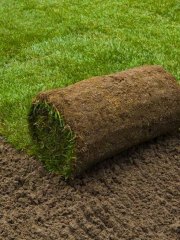 Lawn-services