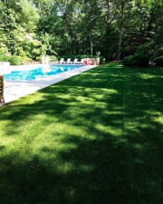 gallery-129-Lawn-care-and-pool